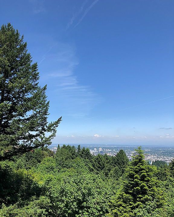 North view from house 