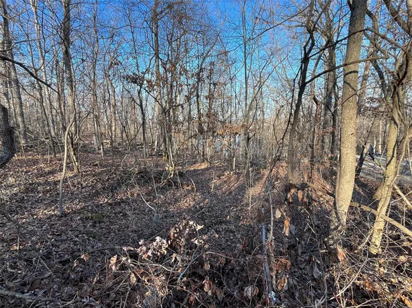 6 Sycamore Ln, New Florence, MO 63363