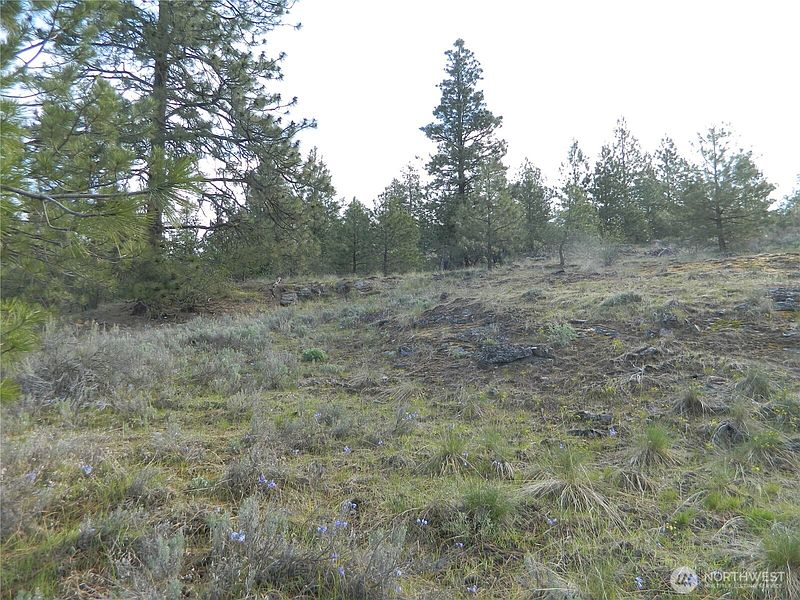 3rd image of 0 TBD Rehmke Road