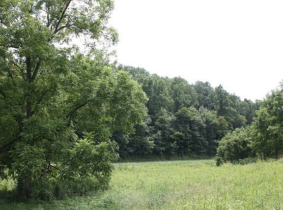 3rd image of Tbd Hunters East Valley Lot 10