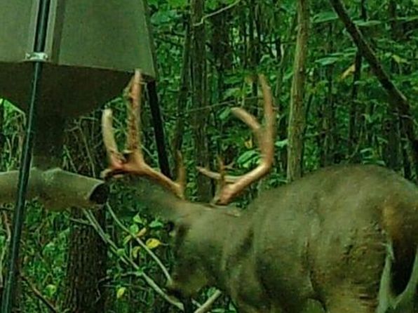 3942 Nauvoo Pond Creek Rd