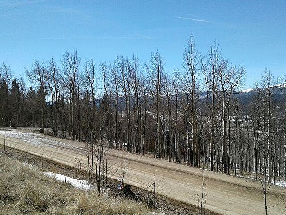 5th image of 1570 Platte River Dr