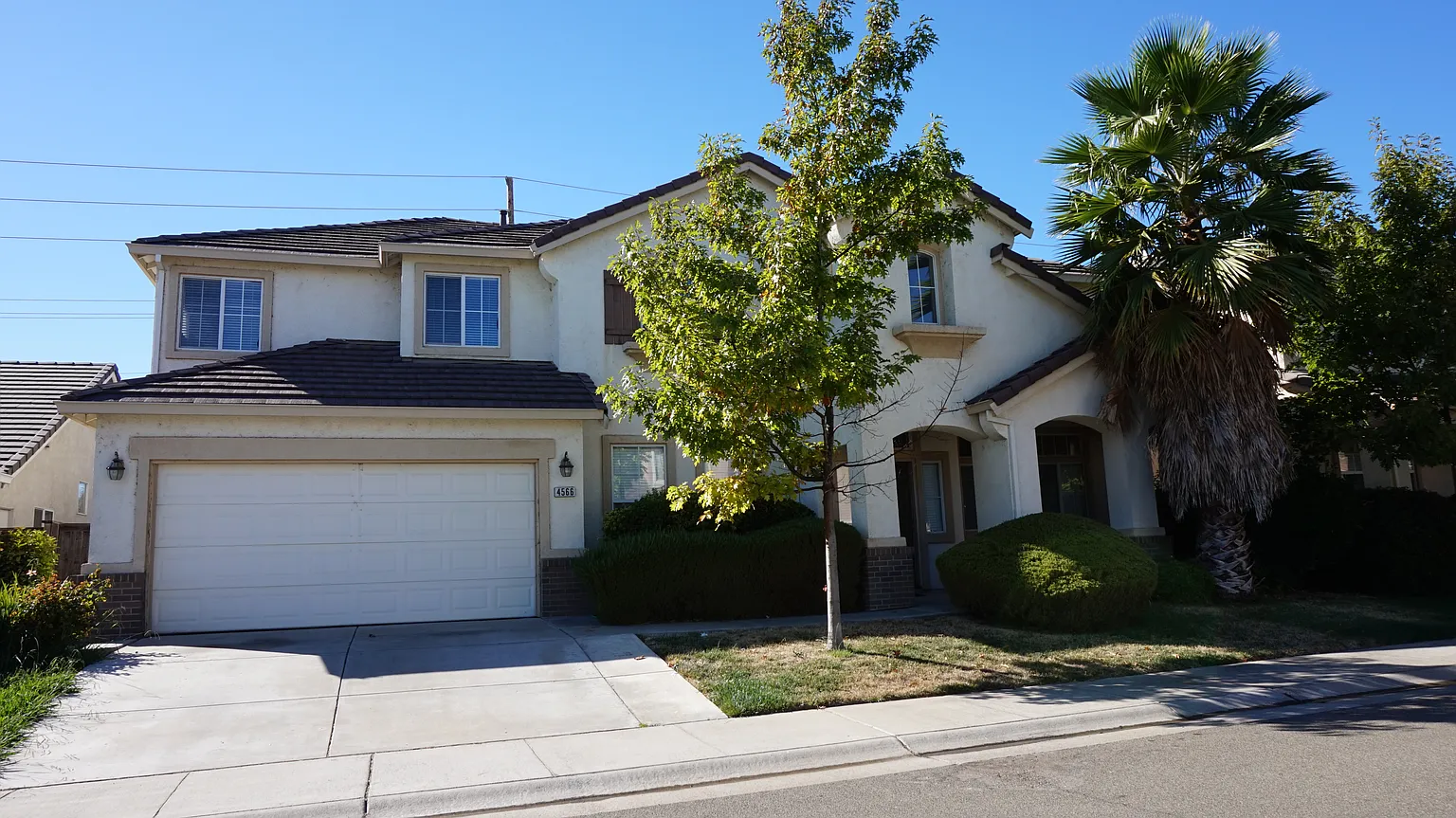 4566 Windsong St photo 1