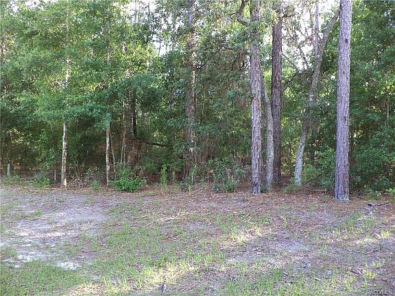 5th image of 8494 N Dove Orchid Dr