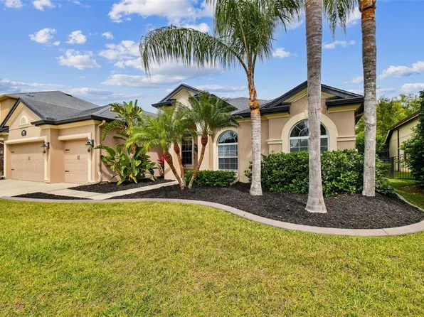 15135 Azra Dr, Odessa, FL 33556