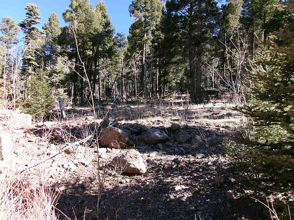2nd image of 1119 El Camino Real Lot 1119 NM