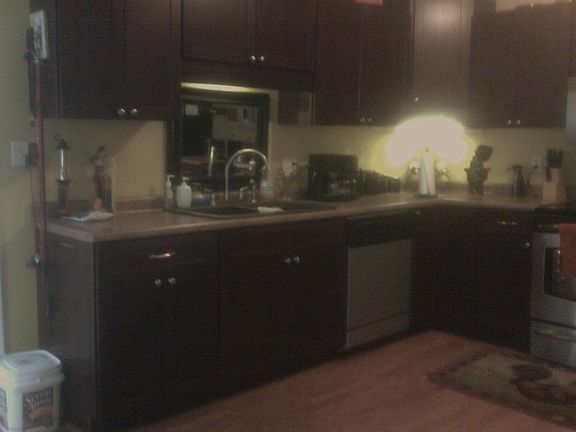 Updated Kitchen