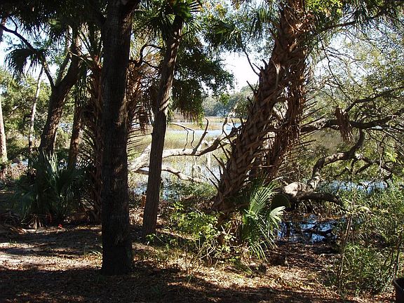 2nd image of 2943 Bayshore Dr E