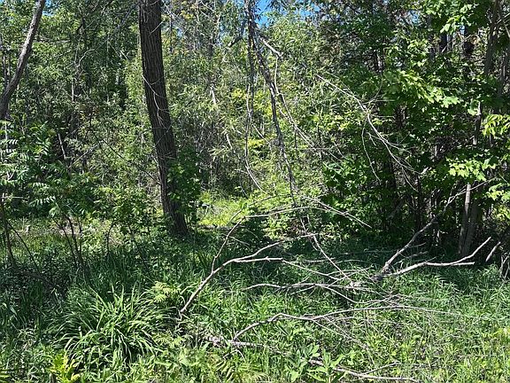 2nd image of 1382 Wilson Point Rd