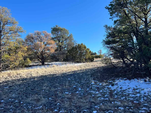 Chamisa Trl, Quemado, NM 87829