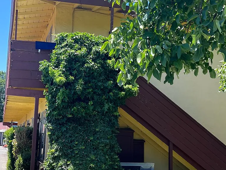 389 Clifton Ave — Photo 1