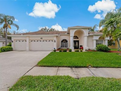 18521 Bittern Ave, Lutz, FL, 33558