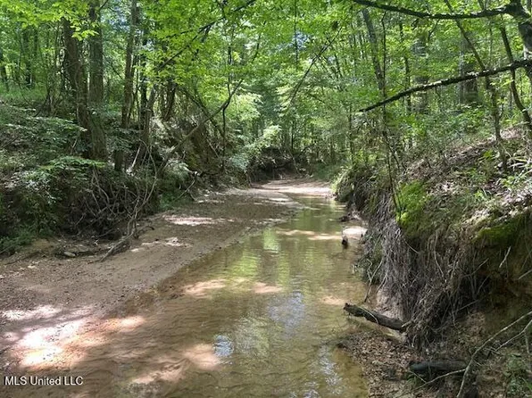 12371 McNair Rd NW, Roxie, MS 39661