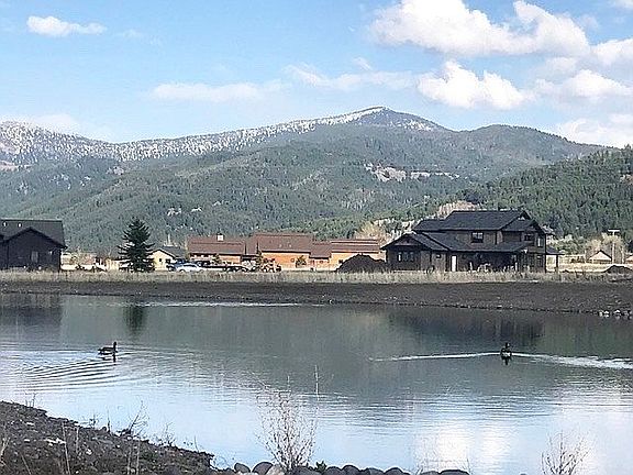 nesting goose pair on pond