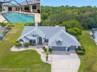 14032 Bruni Dr, Spring Hill, FL 34609