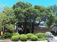2nd image of 12004 Saxony Ln