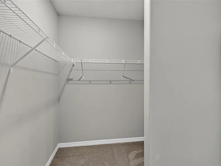 3087 Forrest Plum Ct — Photo 33