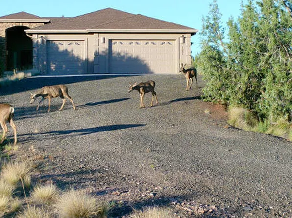 7051 W Dillon Wash Rd, Prescott, AZ 86305