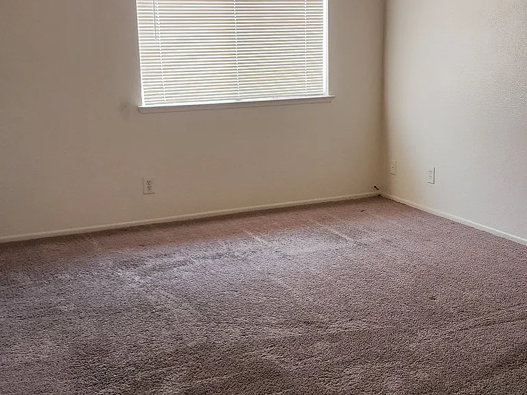 13852 Burning Tree Dr #0 — Photo 5