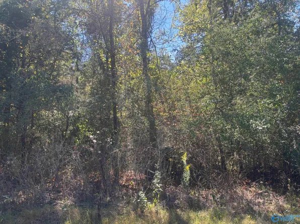 29 Iris Ln, Bridgeport, AL 35740