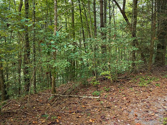 5th image of 14-17 Conasauga Rd