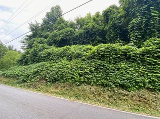 676 Highway 2, Blue ridge, GA 30513