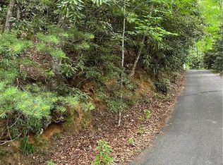 Tbd South Carolina Ter, Montreat, NC 28757