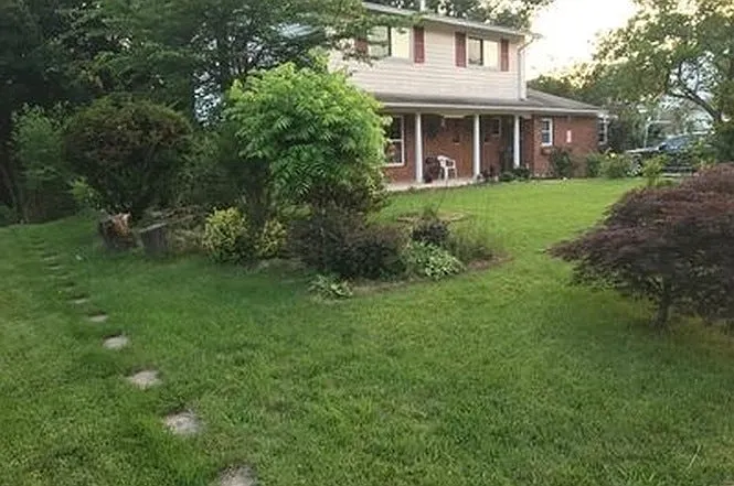 Front yard