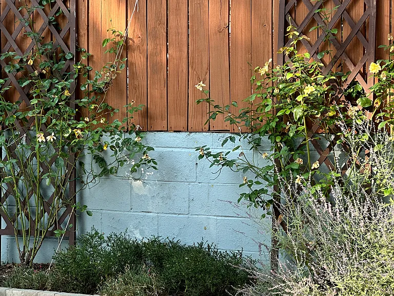 208 W 29th St — Photo 5