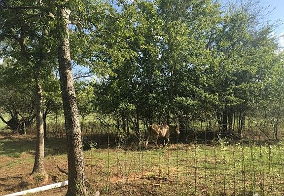 5th image of 1264 Cypress Trl