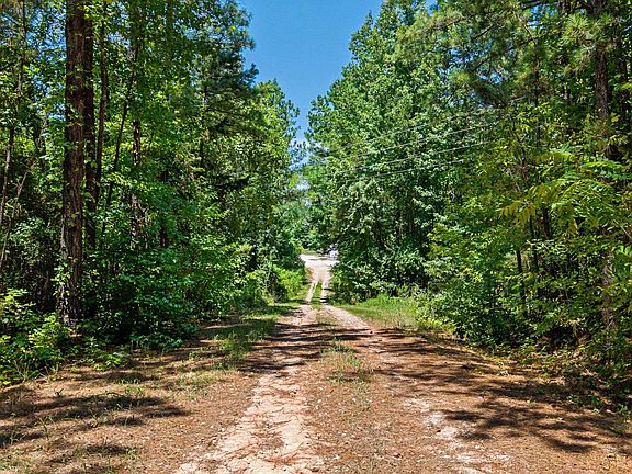 5th image of Bluebird Rd