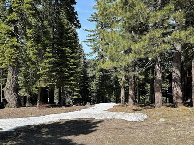 12290 Muhlebach Way, Truckee, CA, 96161