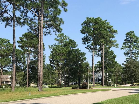 2nd image of 351 River Village Sq