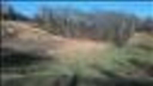 2nd image of Lovelace Rd