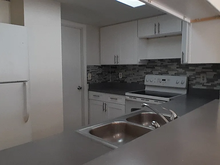 2927 Kelly Ridge Ln — Photo 5
