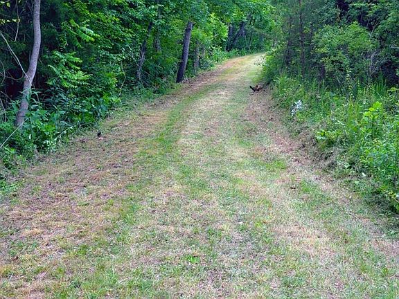2nd image of 0 Bear Ln Lot 1 & 6