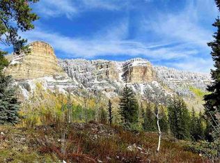 236 Two Dogs Trl, Durango, CO 81301