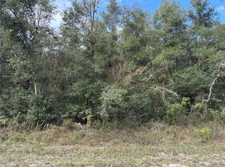 Wagers Dr LOT 5, Webster, FL 33597