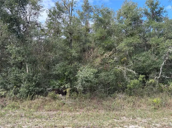WAGERS DRIVE LOT 5, WEBSTER, FL 33597