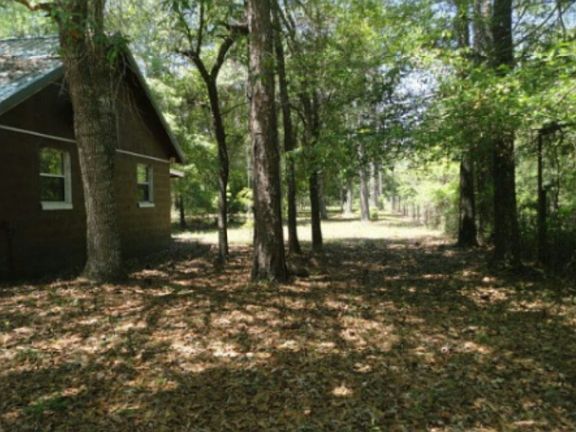 3rd image of 30456 County Road 121