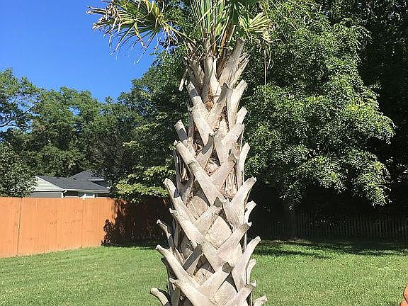 4th image of 4408 Reynolds Dr