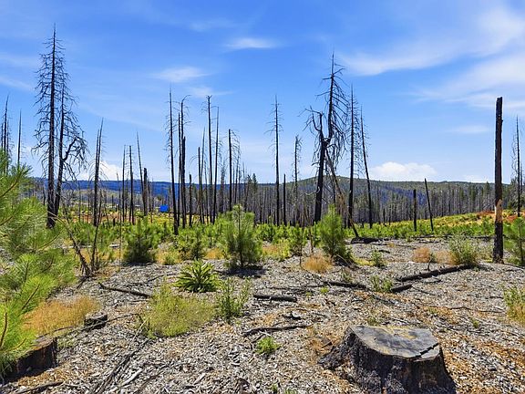 3rd image of 112 Grizzly Flat Rd