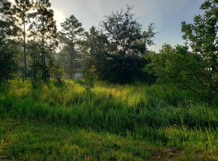 21 Hemlock Pl, Ocala, FL 34472