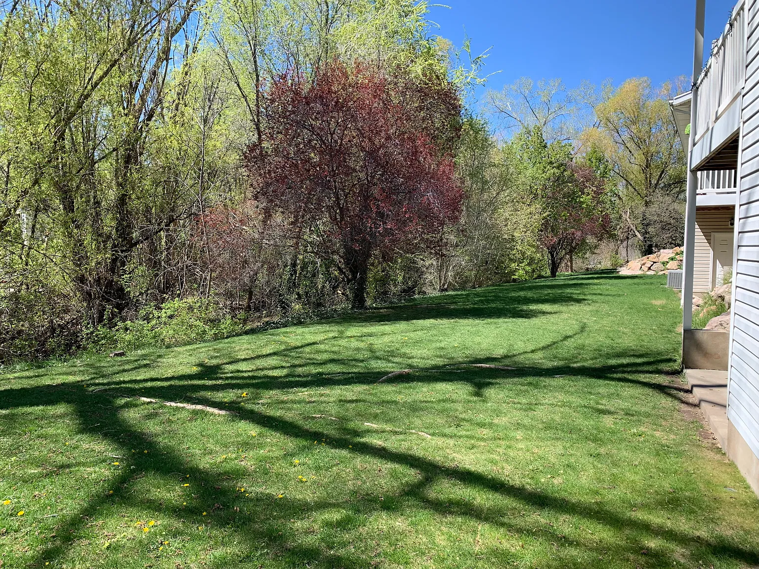 2 bed, 1.5 bath, 1240 sqft, $1,650 — Photo 3