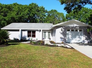 3829 Meridean Pl, Land O Lakes, FL 34639
