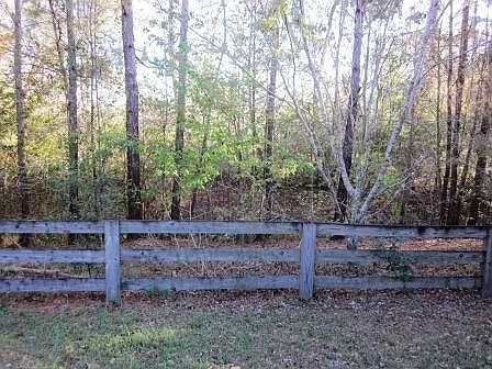 Backyard.