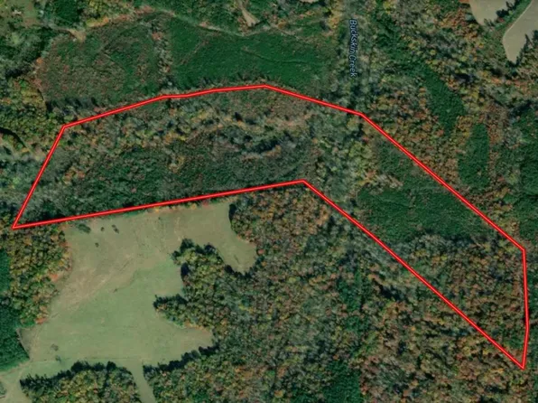 Buckskin Creek Rd, Nathalie, VA 24577