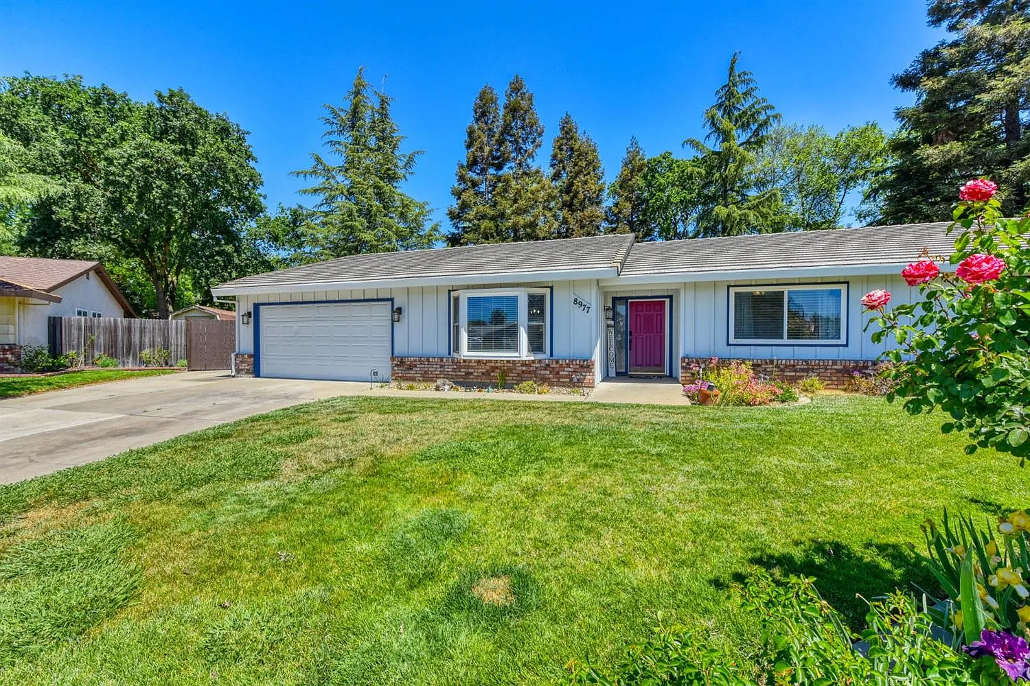 8977 Lismore Dr photo 1