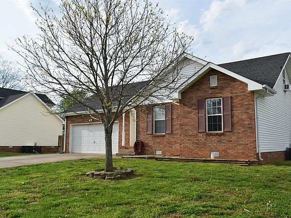 3rd image of 3211 Tabby Dr
