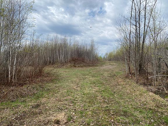 3rd image of Near Wilson Lake Rd